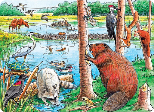 The Beaver Pond Tray Puzzle