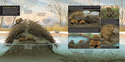 What Goes on inside a Beaver Pond
sample page