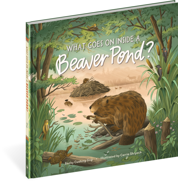 What Goes on inside a Beaver Pond