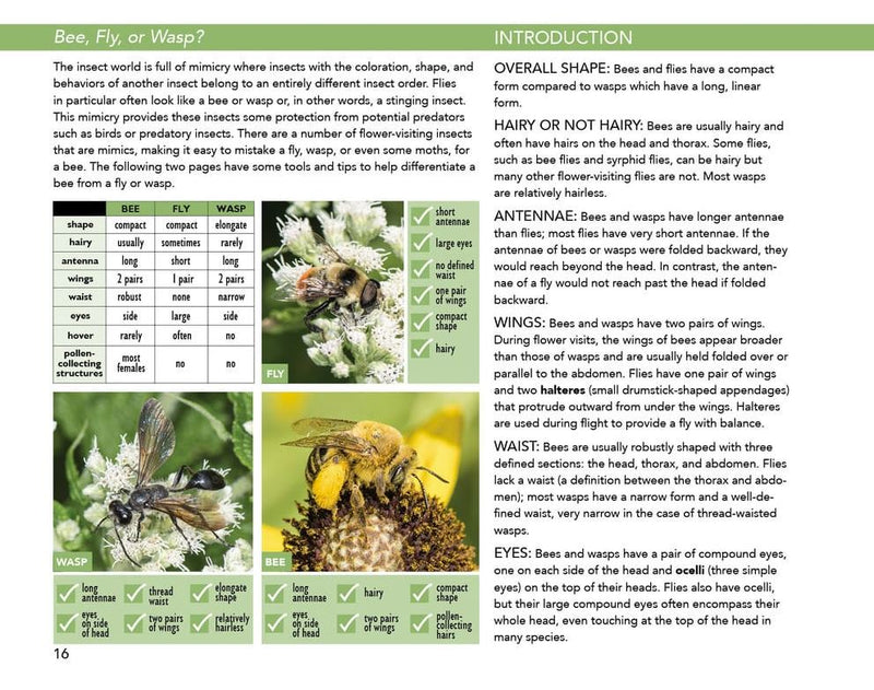 Bees: An Identification and Native Plant Forage Guide
sample page