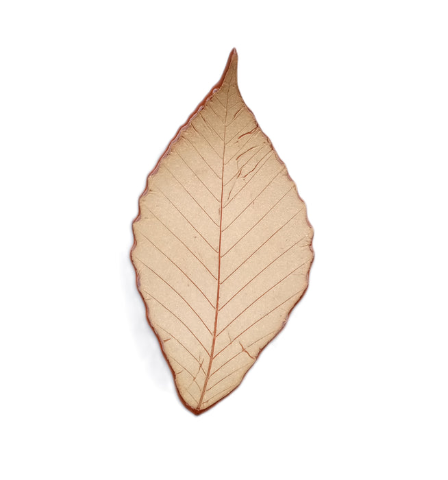 Stoneware Trinket Dish - American Beech