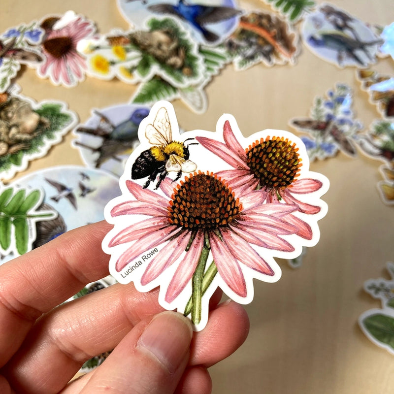 Vinyl Sticker - Bumble Bee with Purple Coneflower