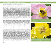 Bees: An Identification and Native Plant Forage Guide
sample page
