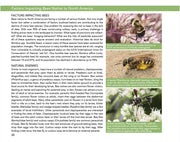 Bees: An Identification and Native Plant Forage Guide
sample page