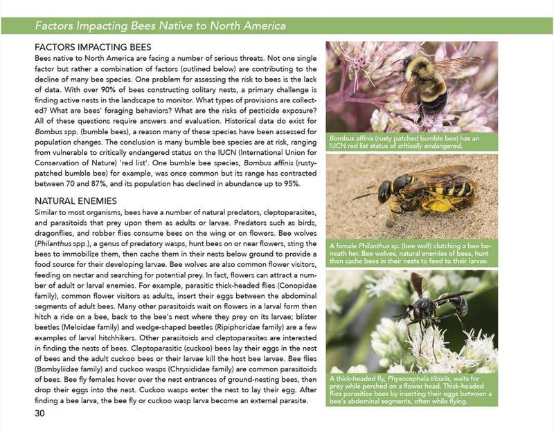 Bees: An Identification and Native Plant Forage Guide
sample page