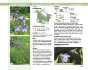 Bees: An Identification and Native Plant Forage Guide
sample page