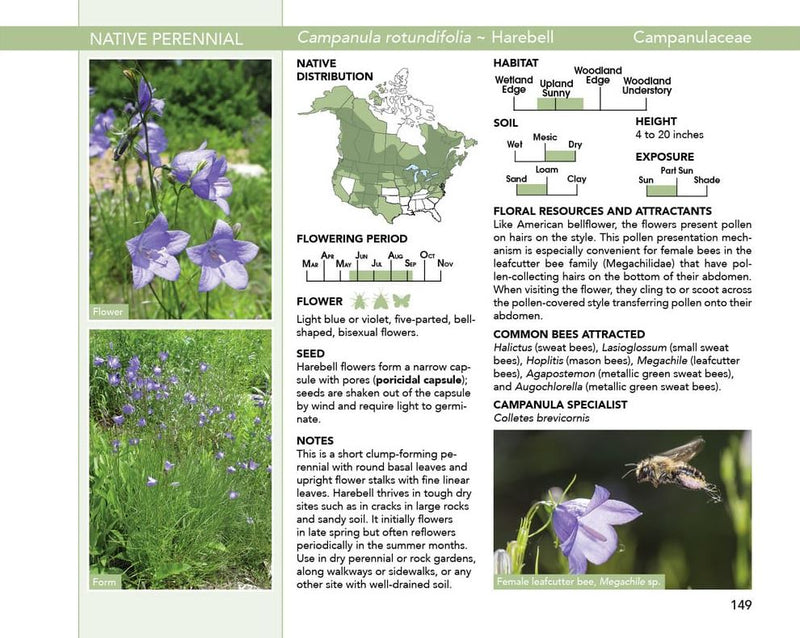 Bees: An Identification and Native Plant Forage Guide
sample page