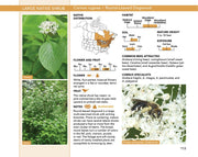 Bees: An Identification and Native Plant Forage Guide
sample page