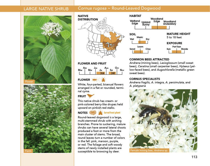 Bees: An Identification and Native Plant Forage Guide
sample page