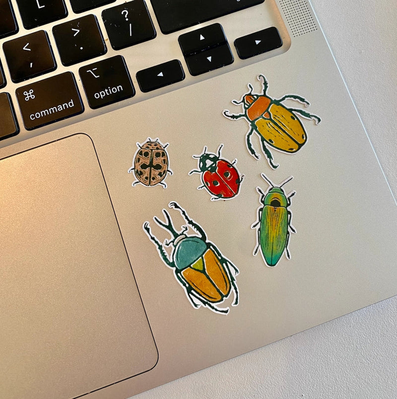 Beetles Sticker Sheet
on laptop computer