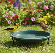 Bird Bath - Ground Level - Green in use