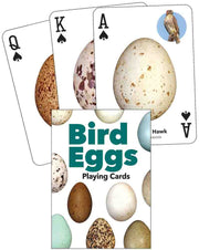 Cover of deck with 3 examples of cards splayed behind