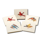 Peterson Bird Assortment Notecard Boxed Set of 8