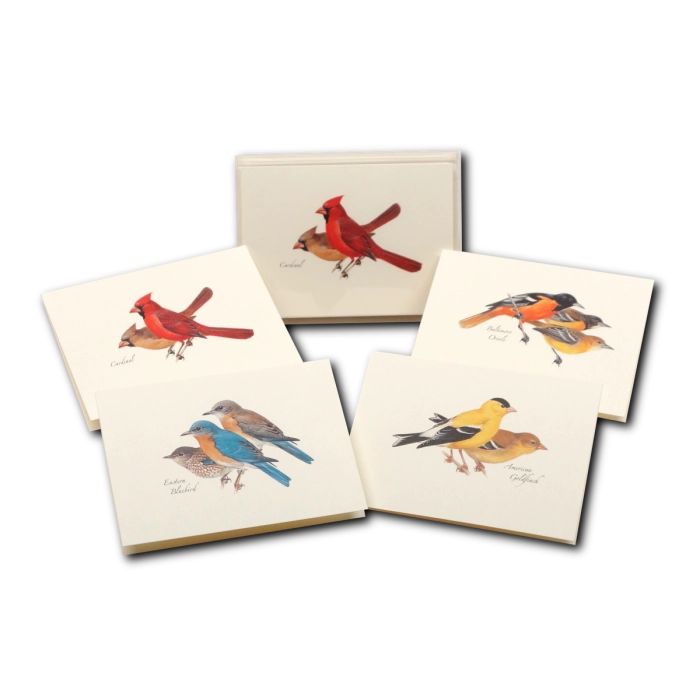 Peterson Bird Assortment Notecard Boxed Set of 8