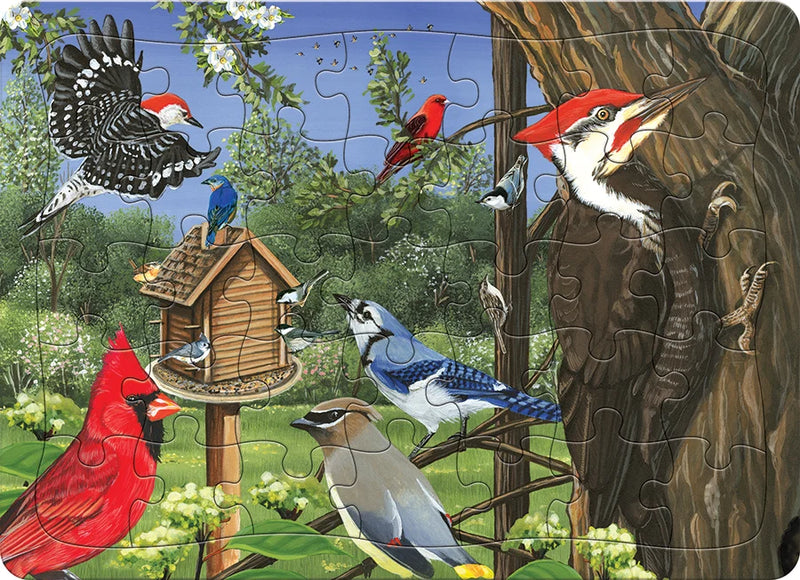 Around the Bird Feeder Tray Puzzle