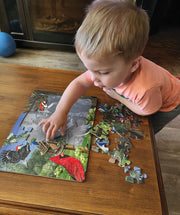 Around the Bird Feeder Tray Puzzle