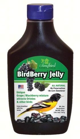 Double Oriole Feeder with Jelly Combo