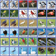 Audubon Bird Matching Game