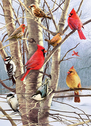 Winter Birds 1000pc Puzzle 
puzzle image