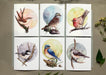 Backyard Birds On Blank Recycled Notecards - Set of 6