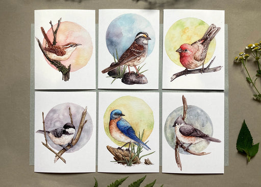 Backyard Birds On Blank Recycled Notecards - Set of 6