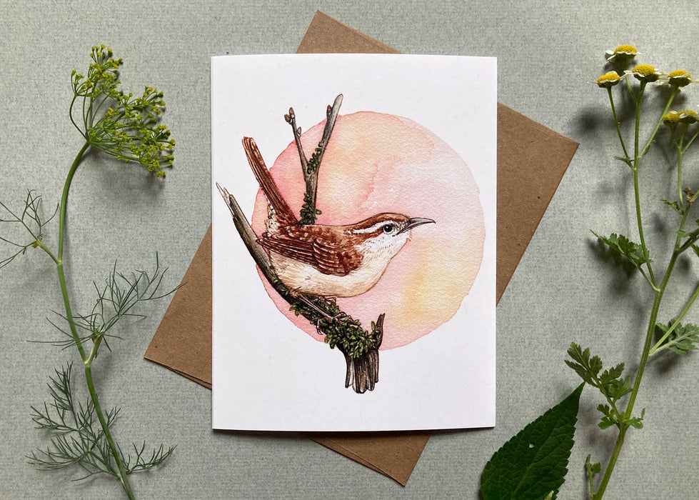 Backyard Birds On Blank Recycled Notecards - Set of 6 - Carolina Wren