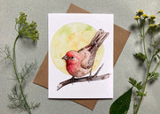 Backyard Birds On Blank Recycled Notecards - Set of 6 - house finch