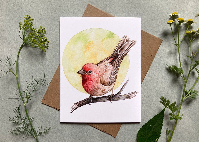 Backyard Birds On Blank Recycled Notecards - Set of 6 - house finch