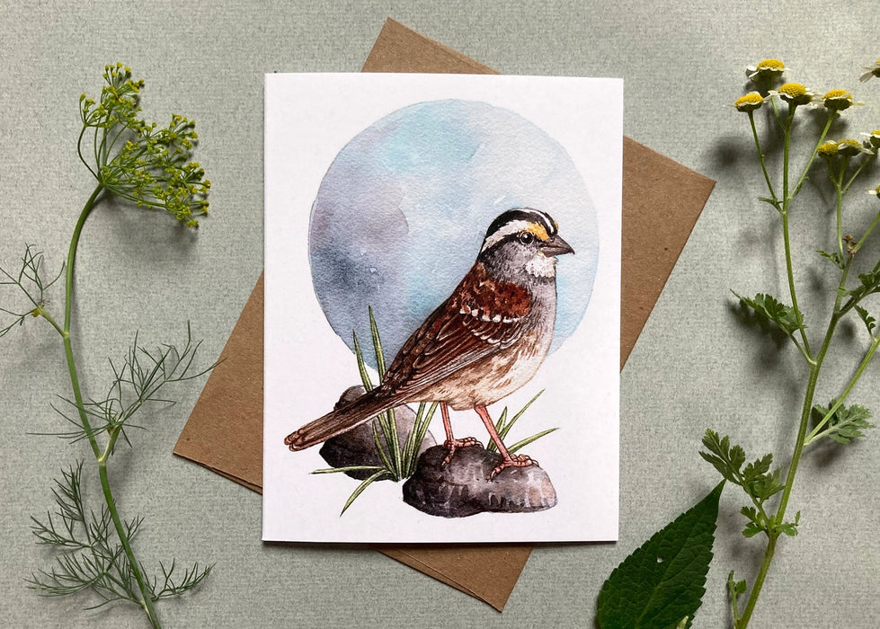 Backyard Birds On Blank Recycled Notecards - Set of 6 - white throated sparrow