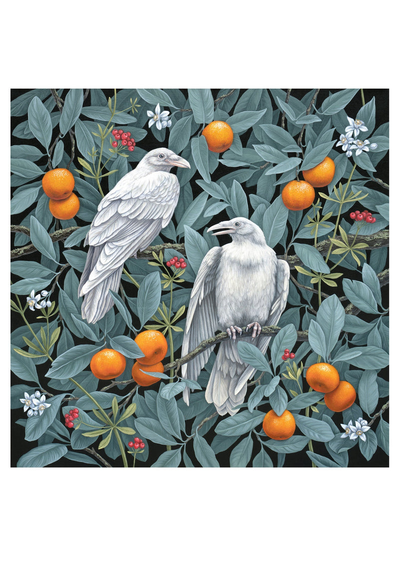 Birds of a Feather Boxed Notecard Assortment - Vasilisa Romanenko
Secret Grove, 2020