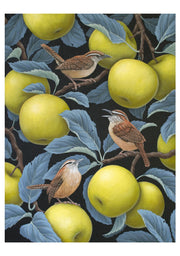 Birds of a Feather Boxed Notecard Assortment - Vasilisa Romanenko
Carolina Wrens in Apple Tree, 2023