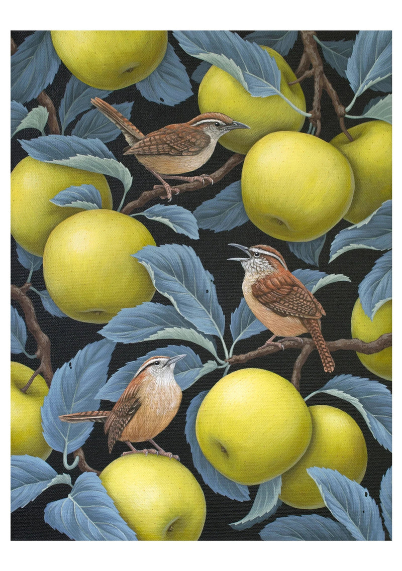Birds of a Feather Boxed Notecard Assortment - Vasilisa Romanenko
Carolina Wrens in Apple Tree, 2023