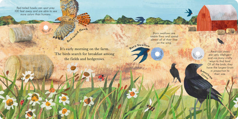 page examples from Songs of the Birds