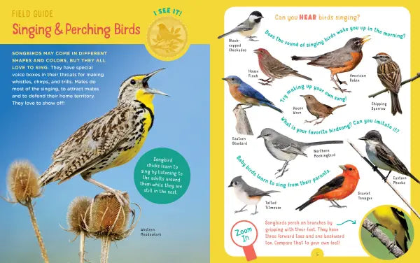 Backpack Explorer: Bird Watch
sample pages
