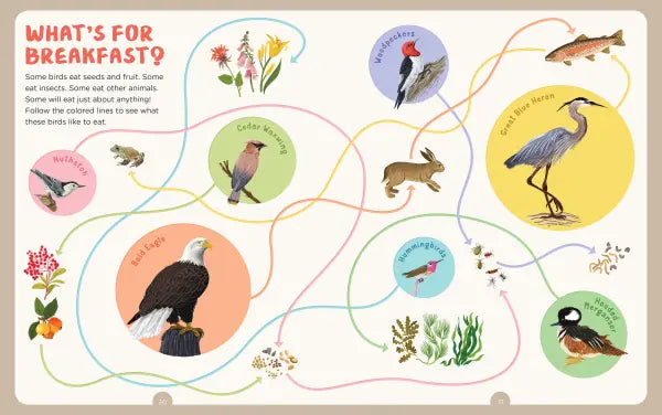 Backpack Explorer: Bird Watch
sample pages