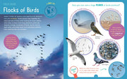 Backpack Explorer: Bird Watch
sample pages