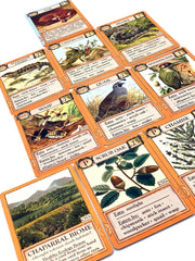 Ecologies: Bizarre Biomes
card samples
