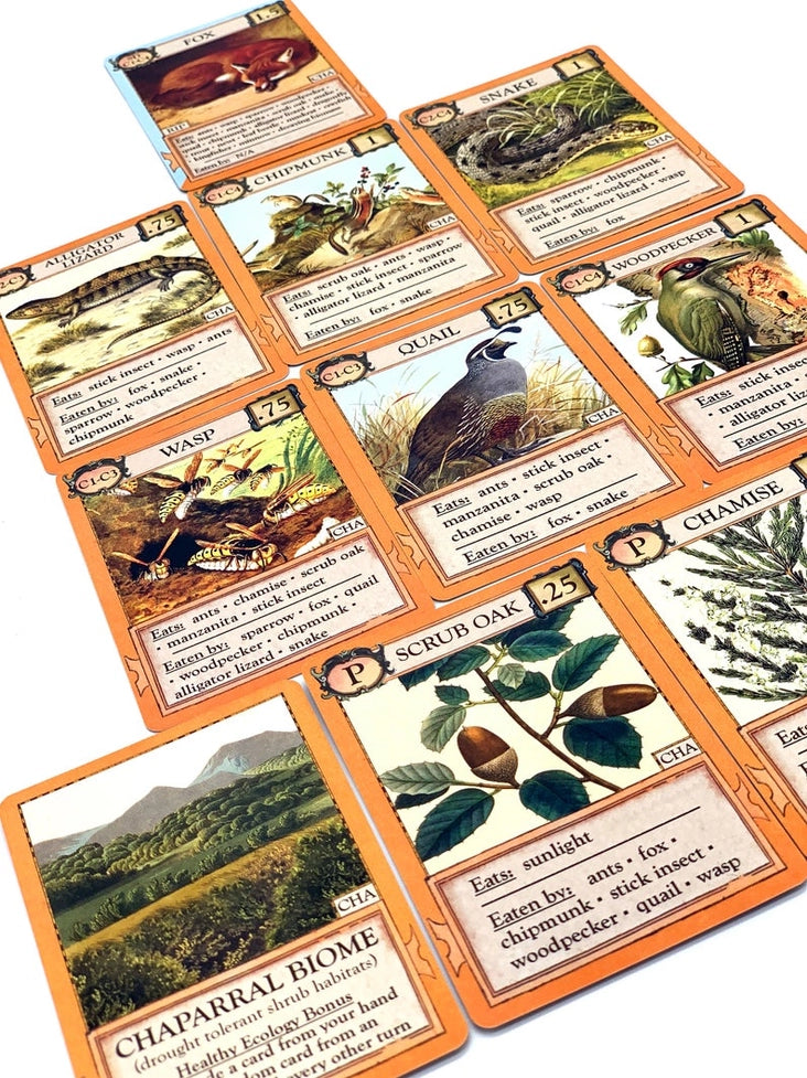 Ecologies: Bizarre Biomes
card samples
