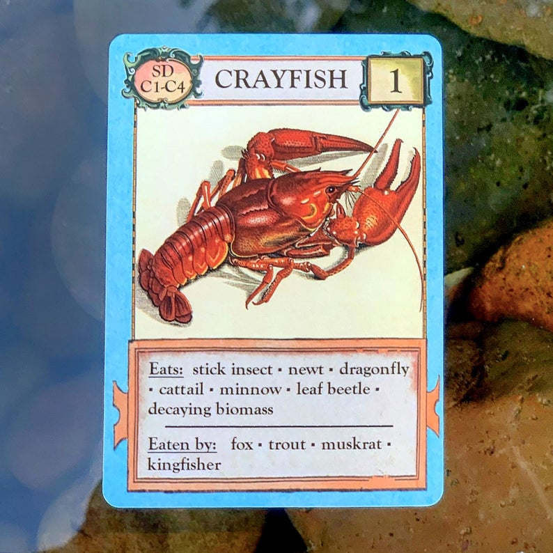 Ecologies: Bizarre Biomes
crayfish card