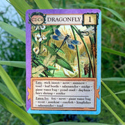 Ecologies: Bizarre Biomes
Dragonfly card