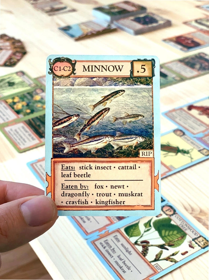 Ecologies: Bizarre Biomes
minnow card