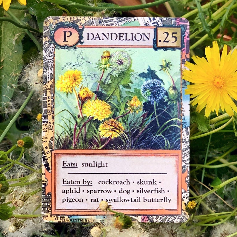 Ecologies: Bizarre Biomes
dandelion card 