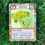 Ecologies: Bizarre Biomes
fennel card