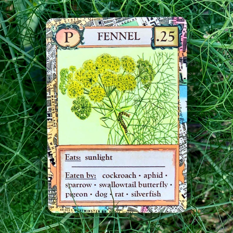 Ecologies: Bizarre Biomes
fennel card