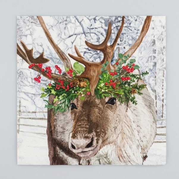 Blitzen Paper Beverage Napkins
