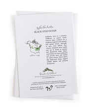 Information on back of card about black-eyed Susan plants