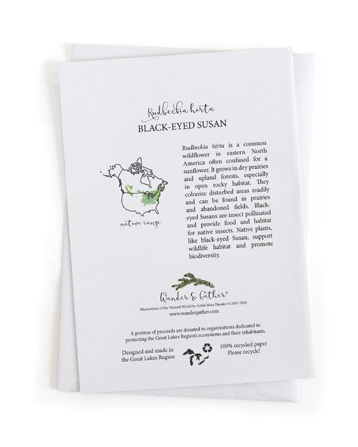 Information on back of card about black-eyed Susan plants