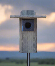 Recycled Plastic Bluebird House with Predator Guard - Marble Gray/Navy