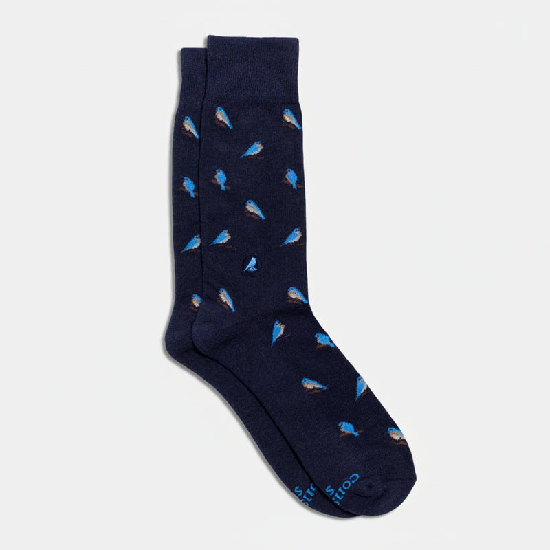 Socks That Protect Bluebirds
medium