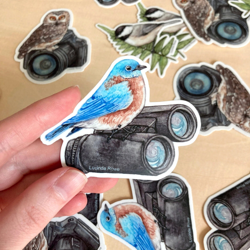 Vinyl Sticker - Eastern Bluebird On Binoculars — Nature Niche